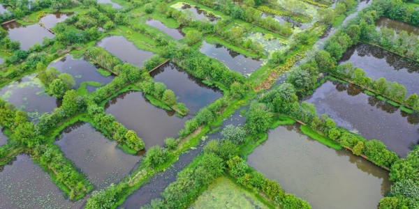 爱游戏体育登录入口-读懂城市｜10吨小龙虾宴请全国马拉松跑友，潜江打的什么算盘？
